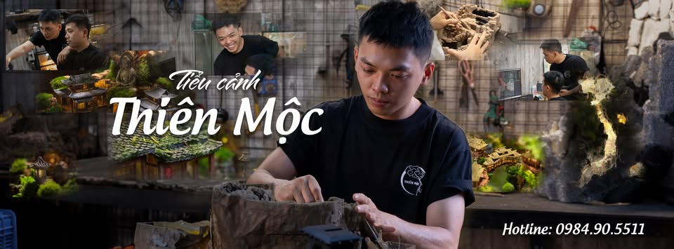 tiểu cảnh thiên mộc banner
