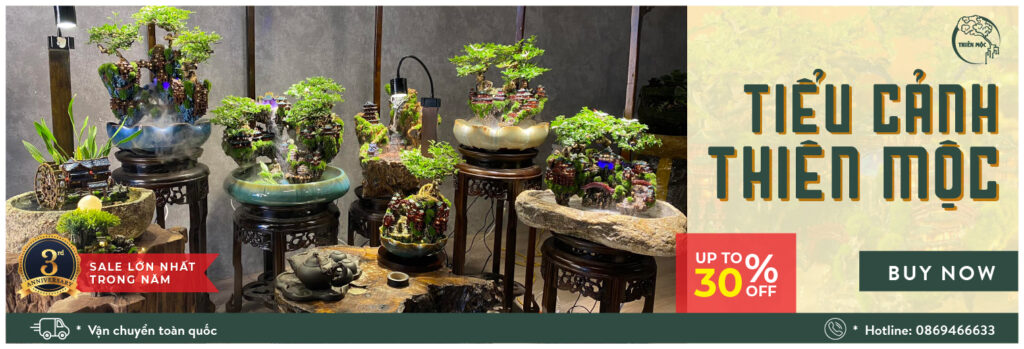 Tiểu cảnh thiên mộc banner web