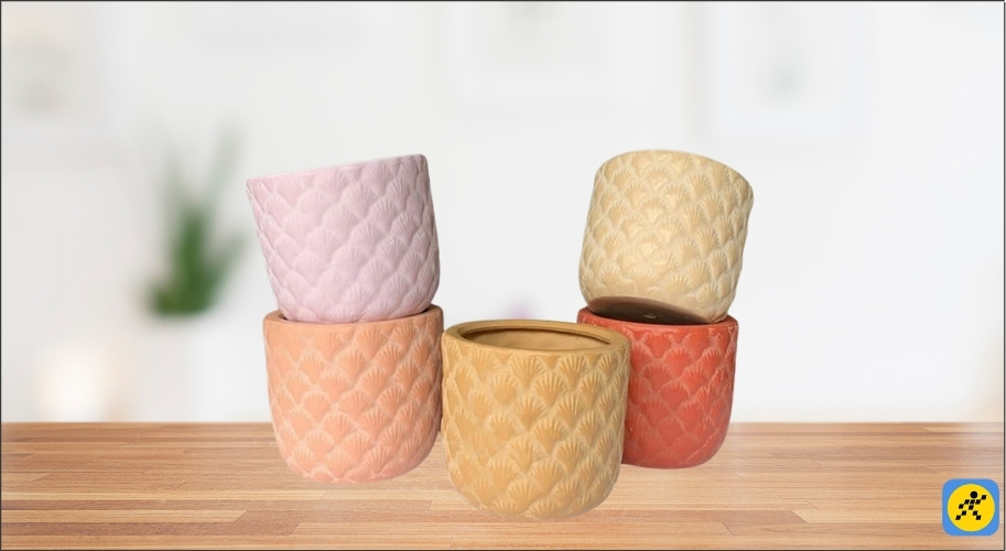 Cách chọn cây xanh theo mệnh (Kim, Mộc, Thủy, Hỏa, Thổ) để gặp may mắn