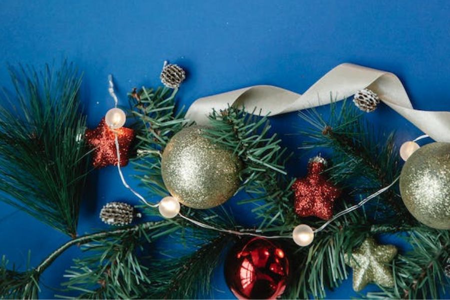 Cách trang trí Noel bằng cây Tùng Thơm và cây Sơn Tùng độc đáo