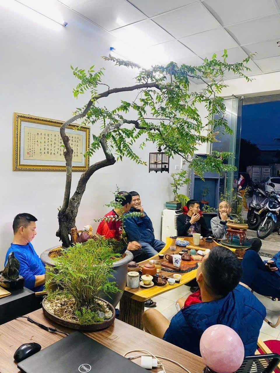 Công thức phối trộn giá thể hoàn hảo cho hoa hồng và cây kiểng lá
