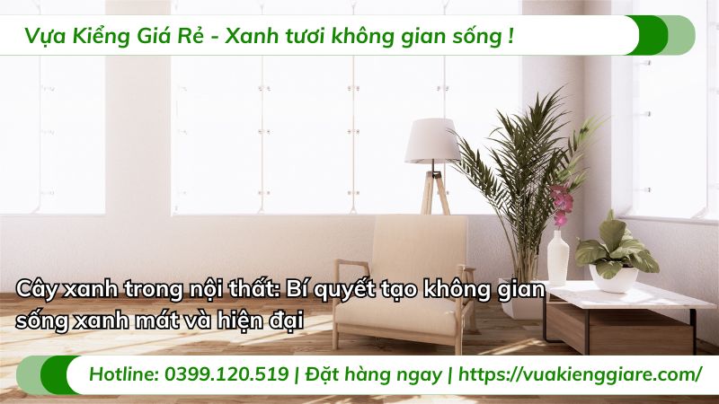 Danh sách cây xanh nội thất bền bỉ, ít tốn công chăm sóc cho người bận rộn