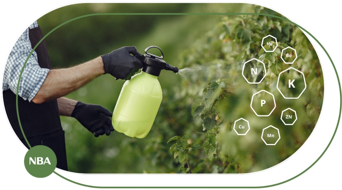 Dấu hiệu cây bị thiếu dinh dưỡng và cách bổ sung phân bón kịp thời