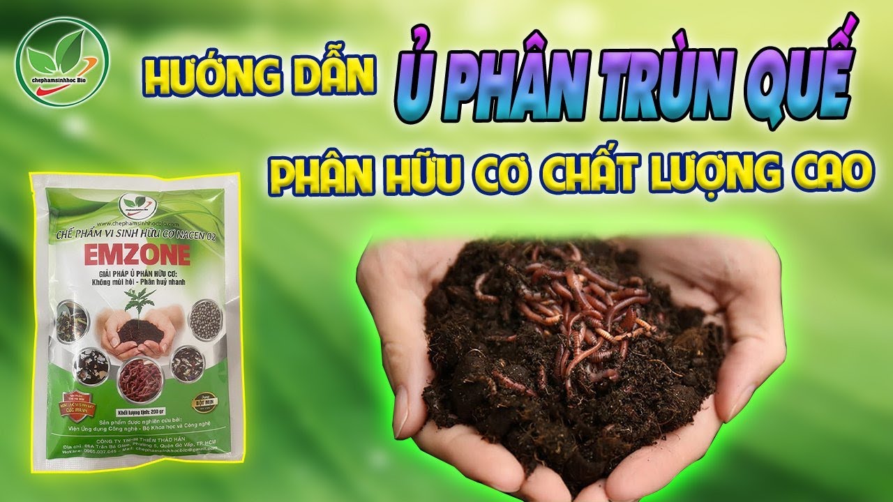 Hướng Dẫn Sử Dụng Phân Trùn Quế Hiệu Quả Nhất Cho Rau Sạch Tại Nhà