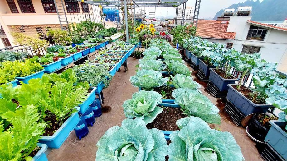 Tại sao chậu đá mài xám luôn là xu hướng bền vững qua các năm?