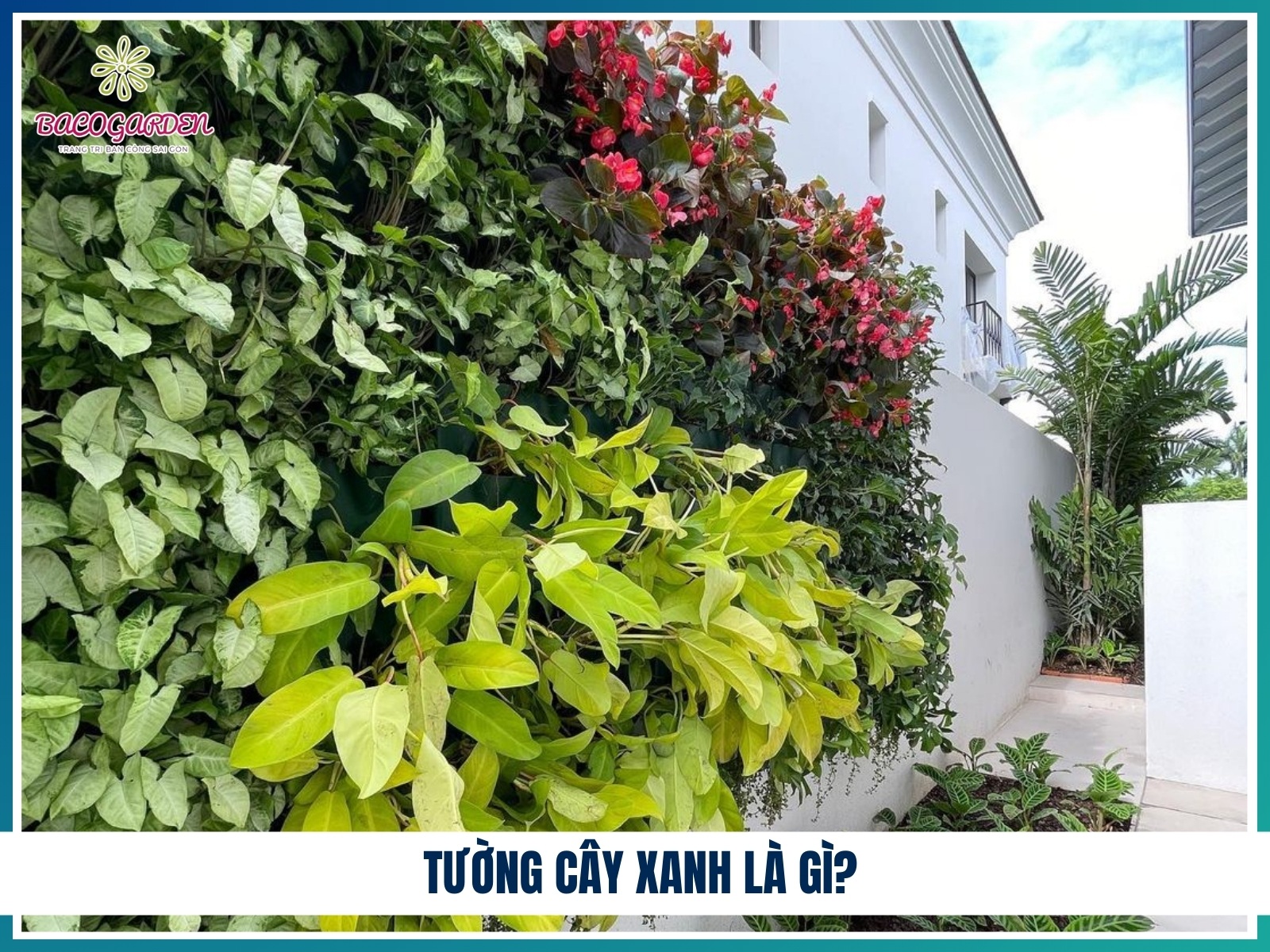 Tự làm dung dịch hữu cơ bóng lá tại nhà cho cây nội thất luôn xanh mướt