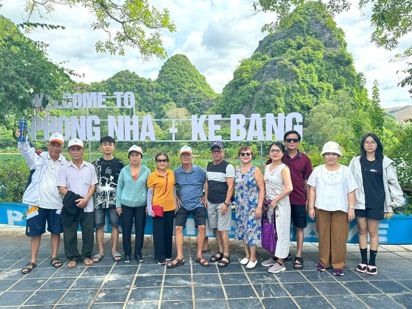 Ý nghĩa cây Bàng Singapore và cách tạo dáng cây chuẩn "sang chảnh"