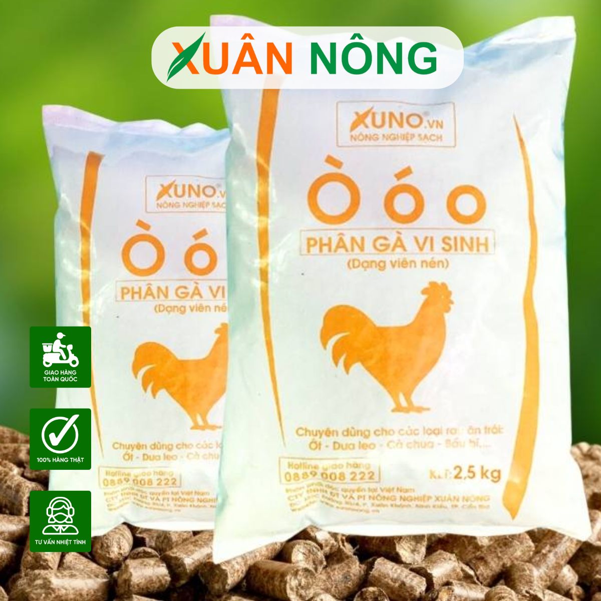 5+ Loại Phân Bón Cho Cây Cảnh Trong Nhà Tốt Nhất
