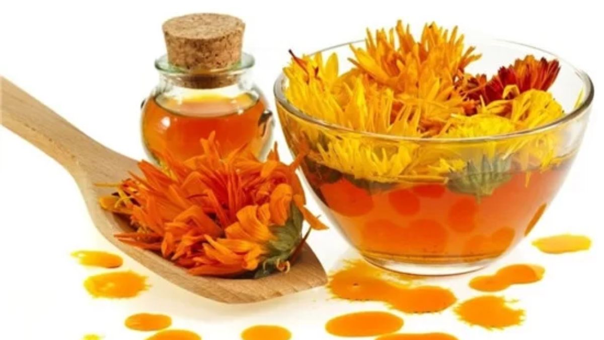 Có nên trồng cúc vạn thọ trong nhà? Ưu & Nhược điểm