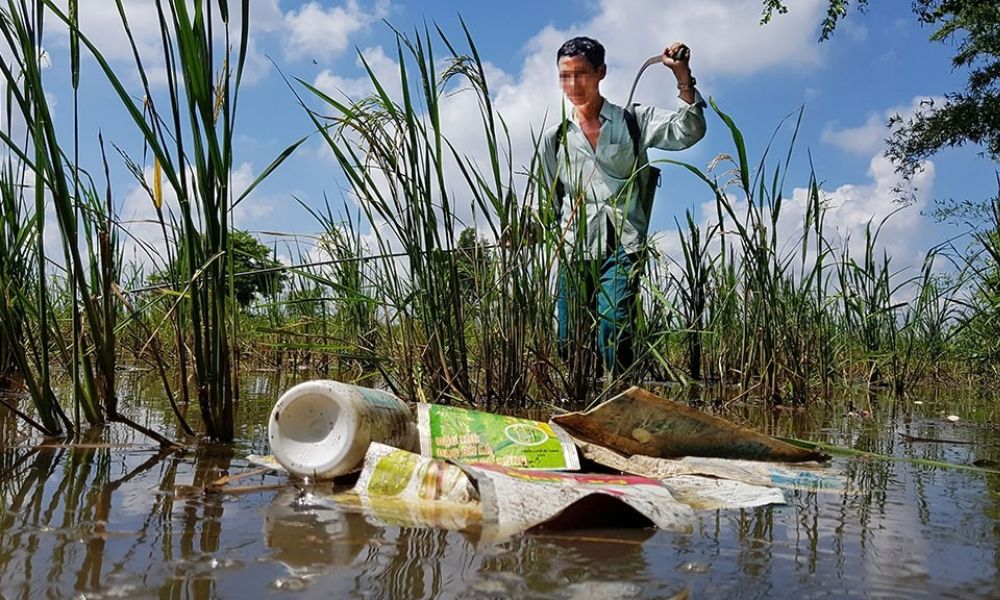 Phân bón có vai trò gì đối với thực vật