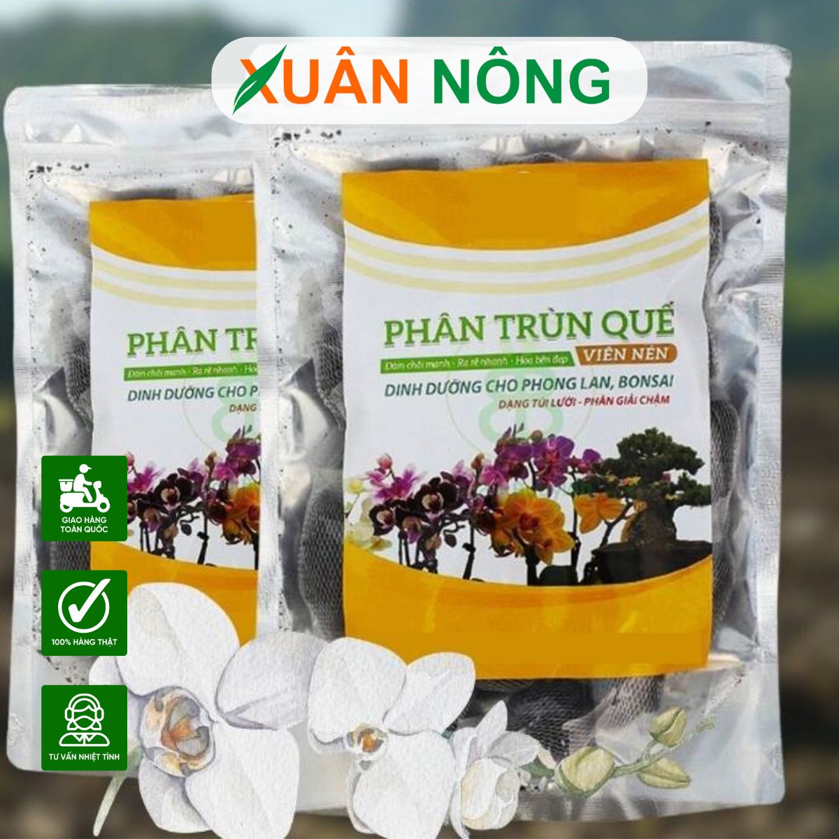 Vì Sao Phân Bón Hữu Cơ Thường Dùng Để Bón Lót